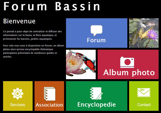 Forum-Bassin