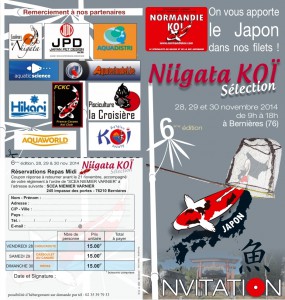 flyer1