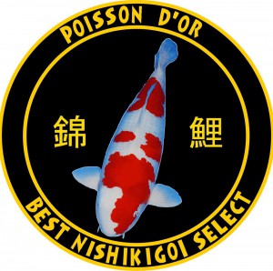 logo poisson d'or