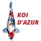 Logo koi d'azur